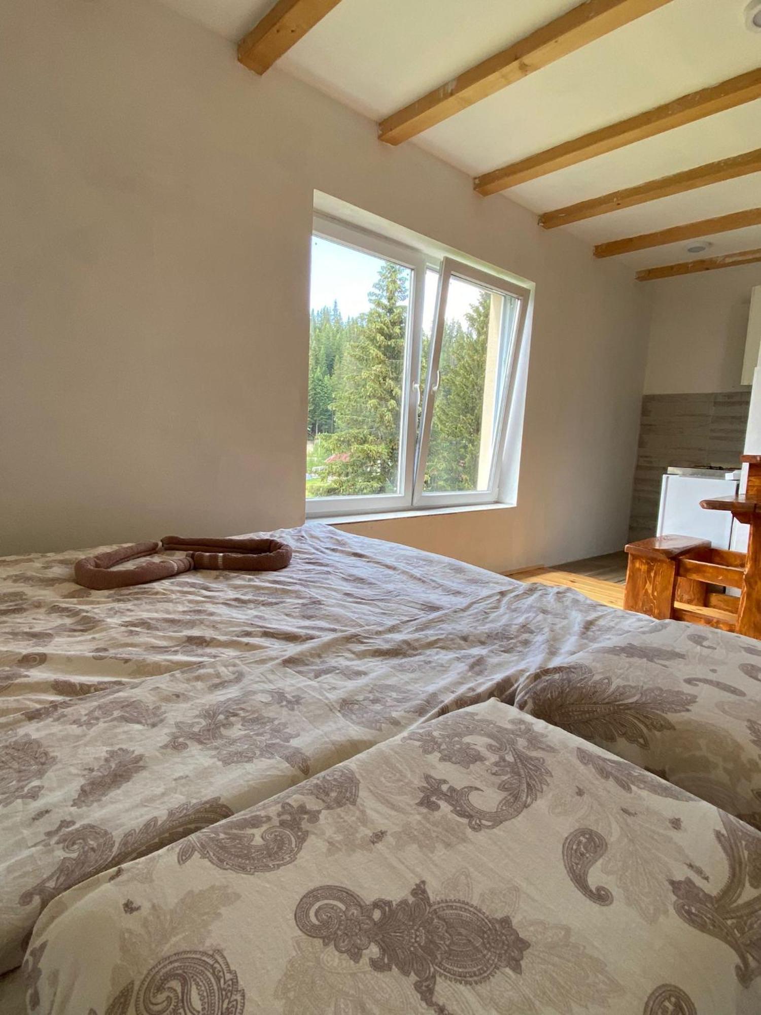 זבליאק Apartment Durmitor חדר תמונה