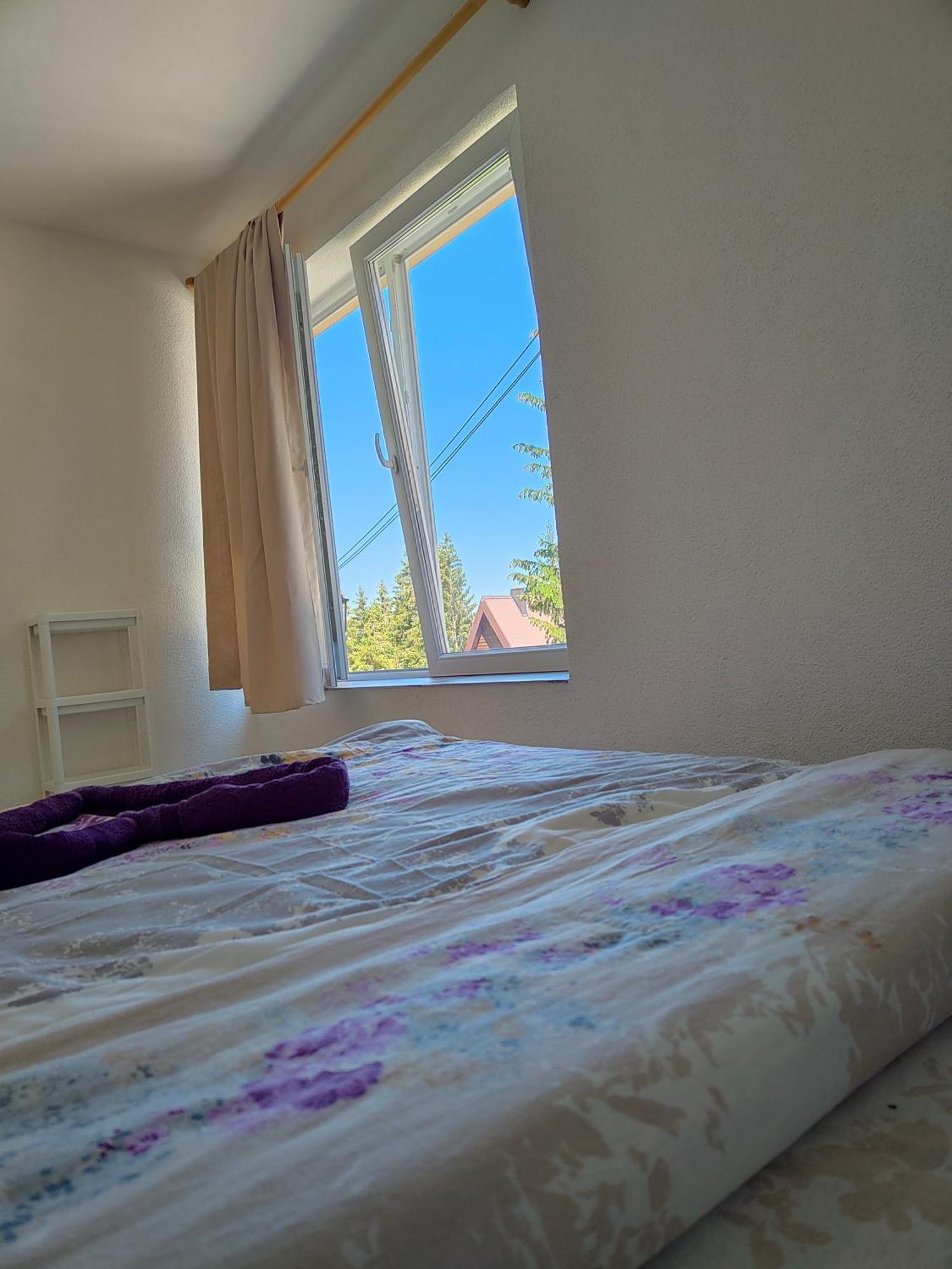 זבליאק Apartment Durmitor חדר תמונה