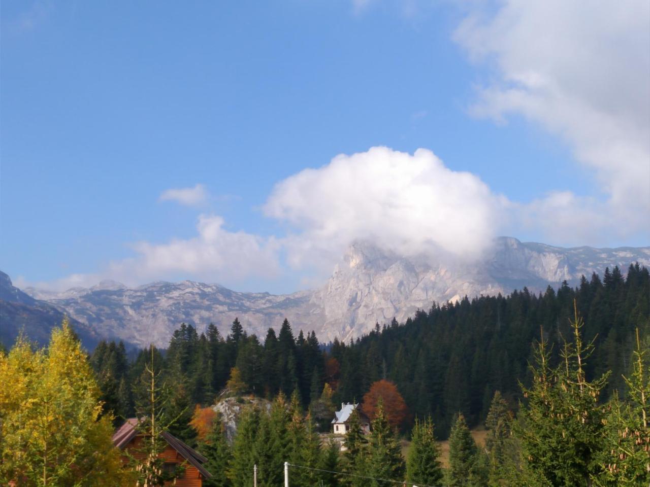 זבליאק Apartment Durmitor מראה חיצוני תמונה