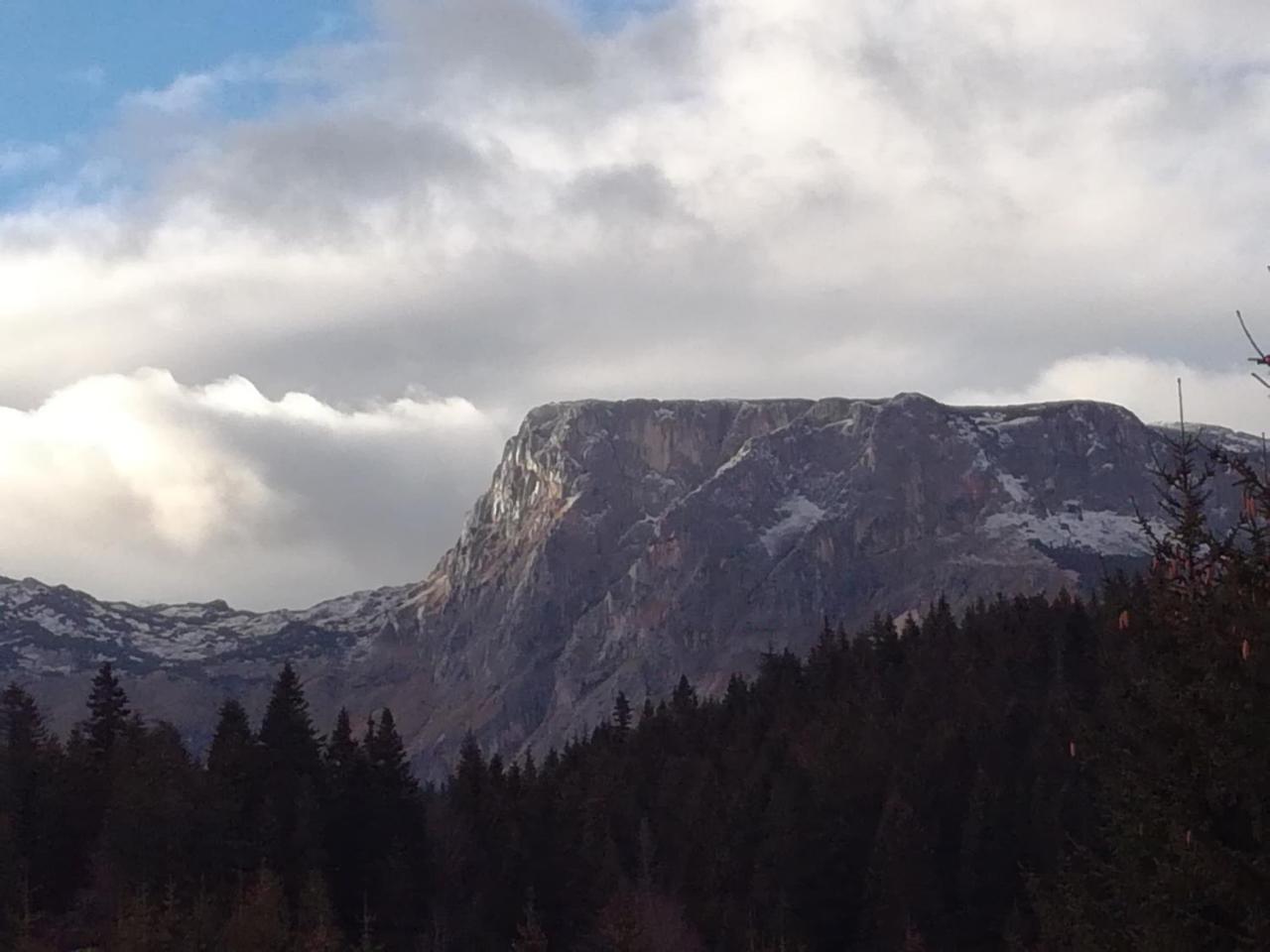 זבליאק Apartment Durmitor מראה חיצוני תמונה