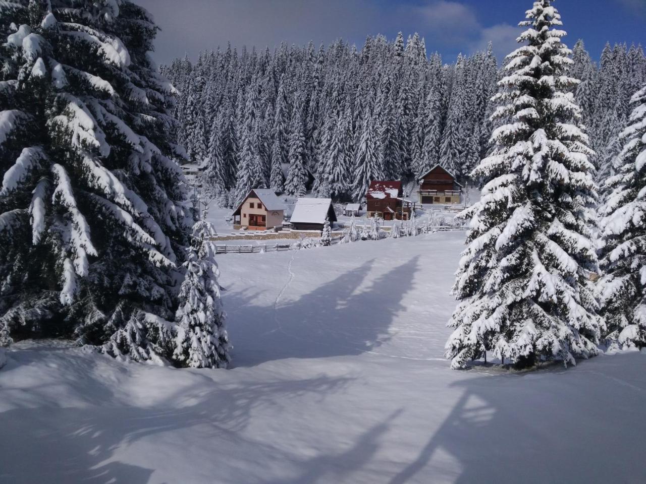 זבליאק Apartment Durmitor מראה חיצוני תמונה