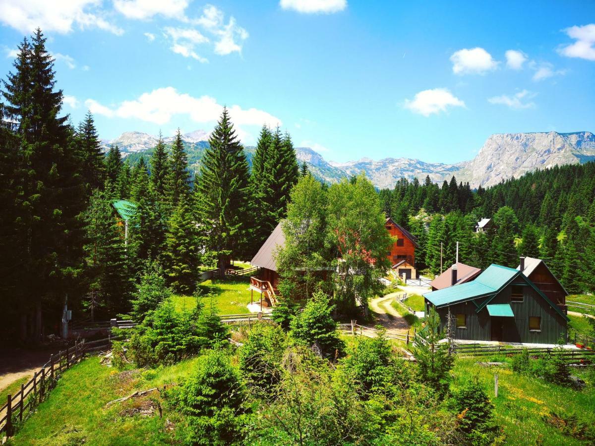 זבליאק Apartment Durmitor מראה חיצוני תמונה